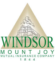 Windsor Mount Joy Logo